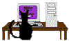 cat at computer