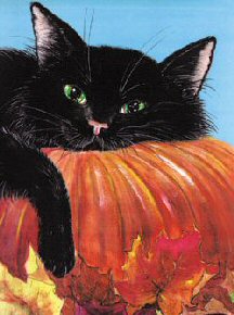 cat on pumpkin