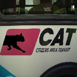 cat bus