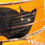 black cat and broken mirror