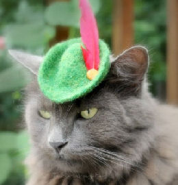 cat with feathered cap
