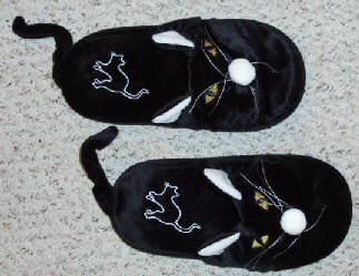 cat sandals