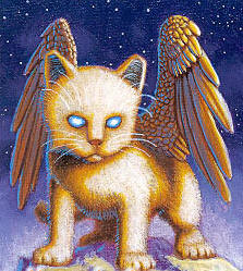 angel cat
