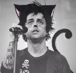 Billie Joe Armonstrong in cat makeup