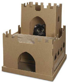 cat inside a cardboard castle