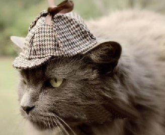 cat in Sherlock Holmes deerstalker hat