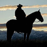 cowboy on horse
