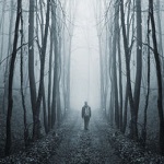 man walking in forest