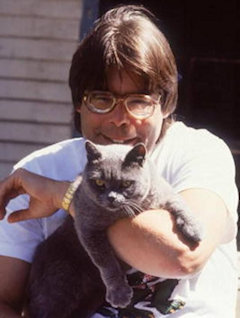 cat with Stephen King