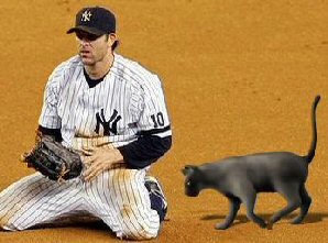 cat on baseball field