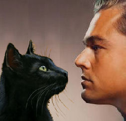 cat with DiCaprio