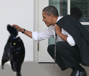 cat with President Obama