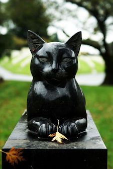 black cat headstone