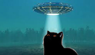 cat and flying saucer