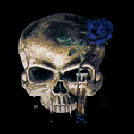 skull and rose