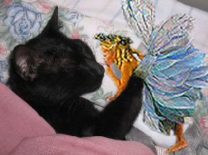 fairy and sleeping cat