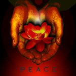 Flower of peace