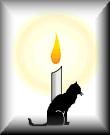 cat by candle