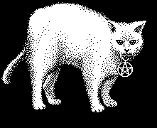 white cat