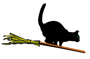 cat on broom