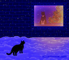 cat looking inside house