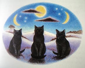 three black cats