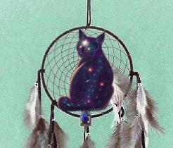 cat in dream catcher