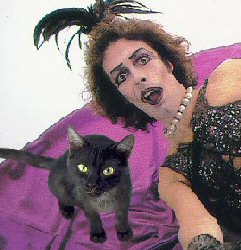 cat with Frank N Furter