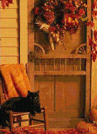 cat relaxing on porch