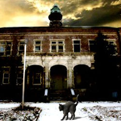 black cat in front of Pennhurst