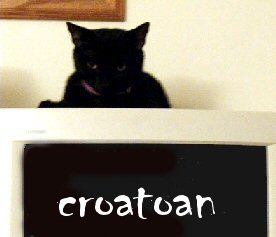 cat above computer monitor that says croatoan