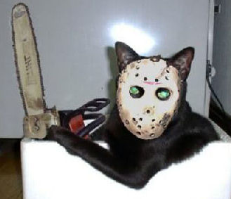 cat with Jason mask and chainsaw
