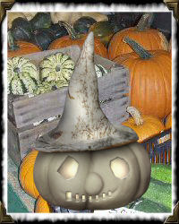 pumpkins and squash