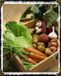 root vegetables