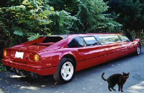 cat by stretch Ferrari