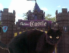 cat by chocolate castle