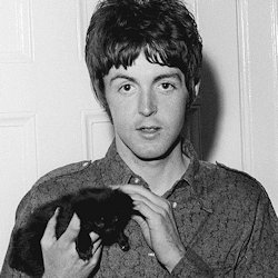 Paul McCartney with black kitten