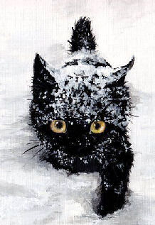 cat walking in snow