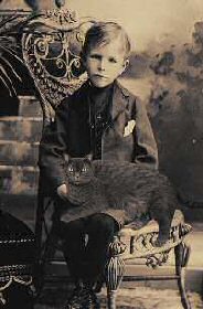 cat on boy's lap